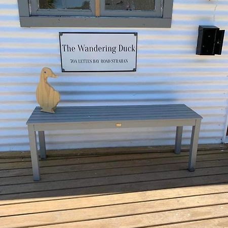 The Wandering Duck - Heritage Tiny House Strahan Exteriör bild